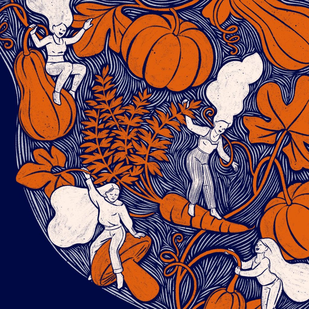 illustration, food, illustration puzzle, illustration packaging, food design, art de vivre, pattern, motif végétal, illustration marque soupes, illustration saisons